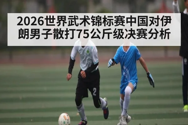 2026世界武术锦标赛中国对伊朗男子散打75公斤级决赛分析